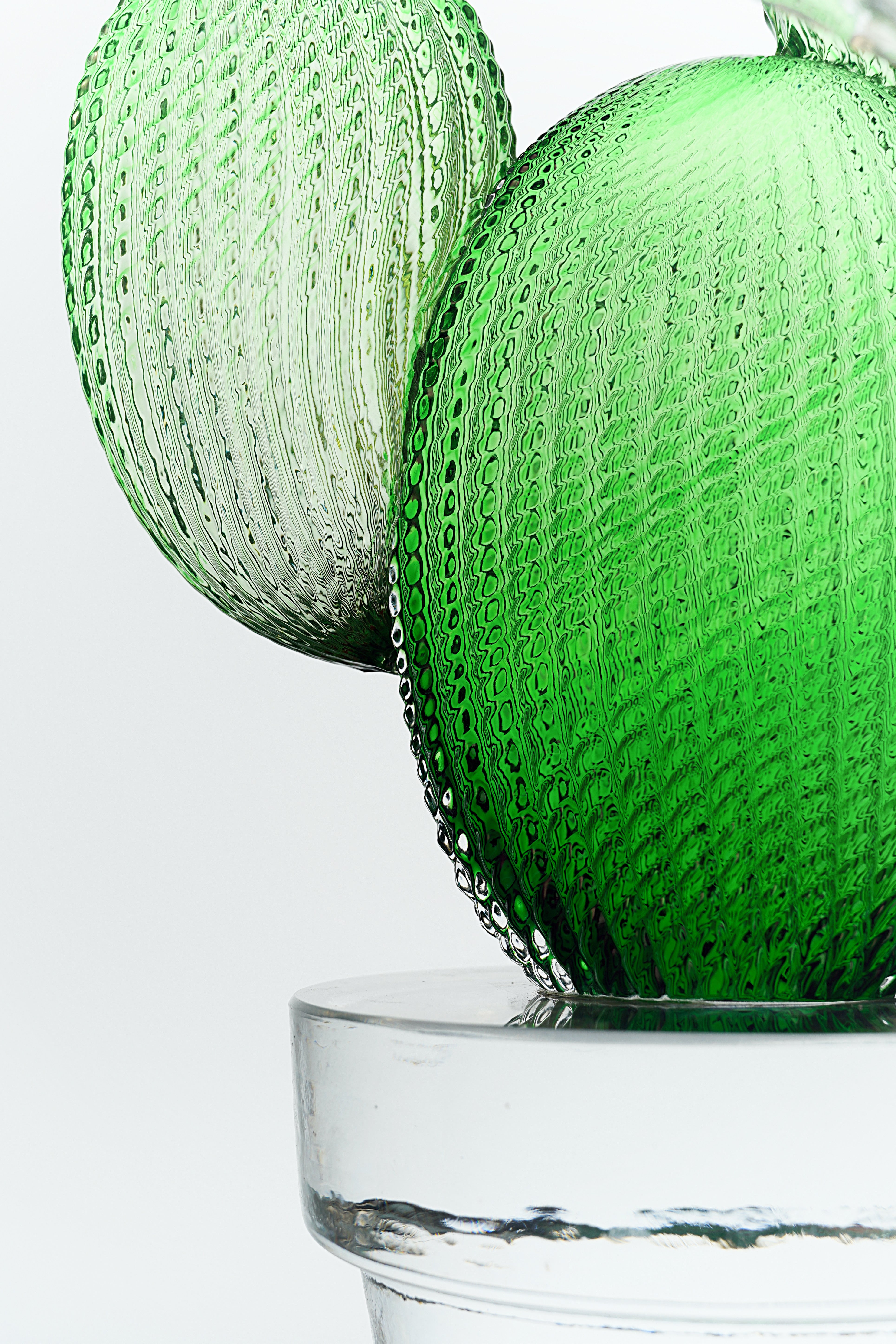 Formia Murano limited edition Glass Cactus Sculpture, designed and signed by renowned artist Marta Marzotto. Only 300 pieces worldwide, this rare and exclusive piece adds sophisticated elegance to any collection.