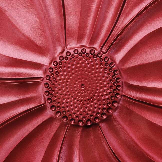 IVV Italia - Piatto Magnolia - Rosso